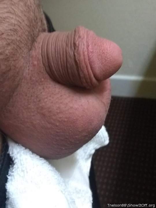 Photo of a hot dog from Tnelson88