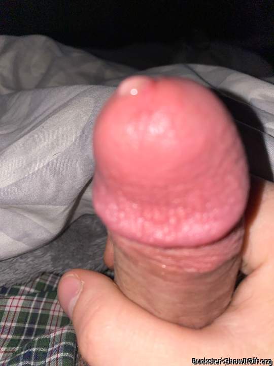 Photo of a middle leg from Buckster