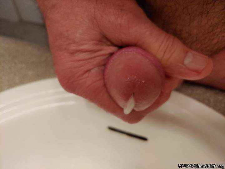 Photo of a weasel from M*C*S