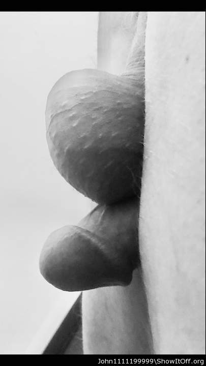 Testicles Photo from John1111199999