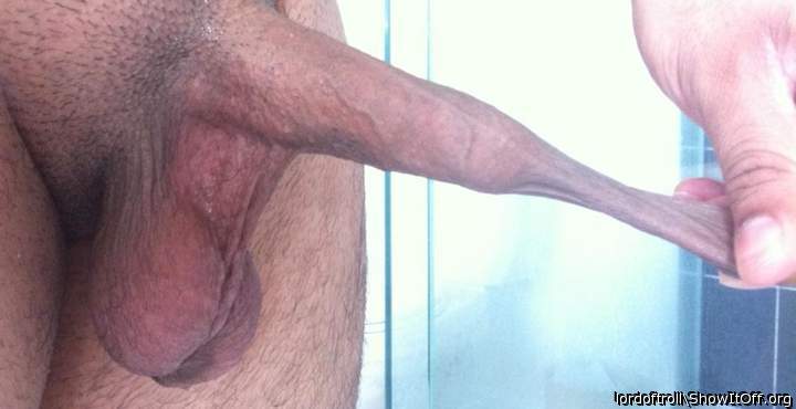 foreskin