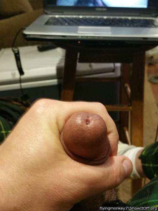 Photo of a horn from flyingmonkey7