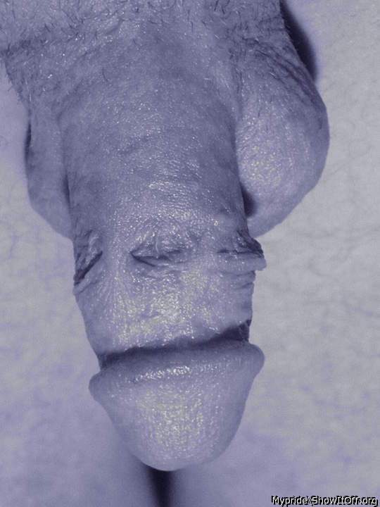 Photo of a horn from Mypride