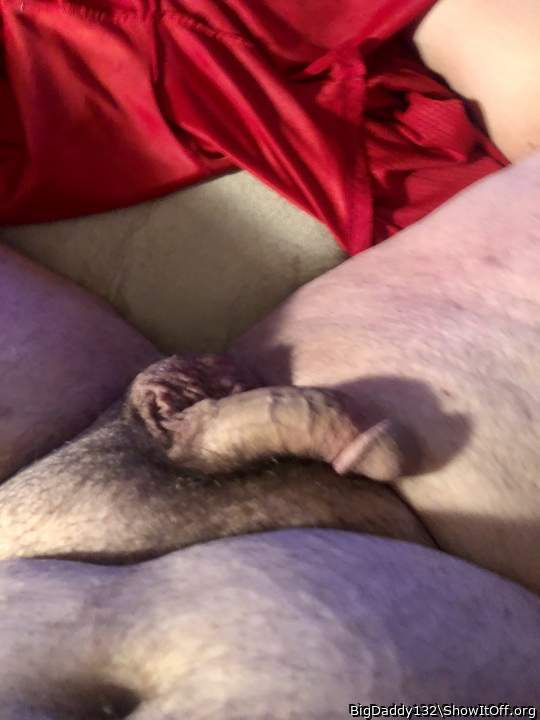 Photo of a weasel from BigDaddy132