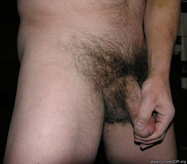 Photo of a shaft from Wiper