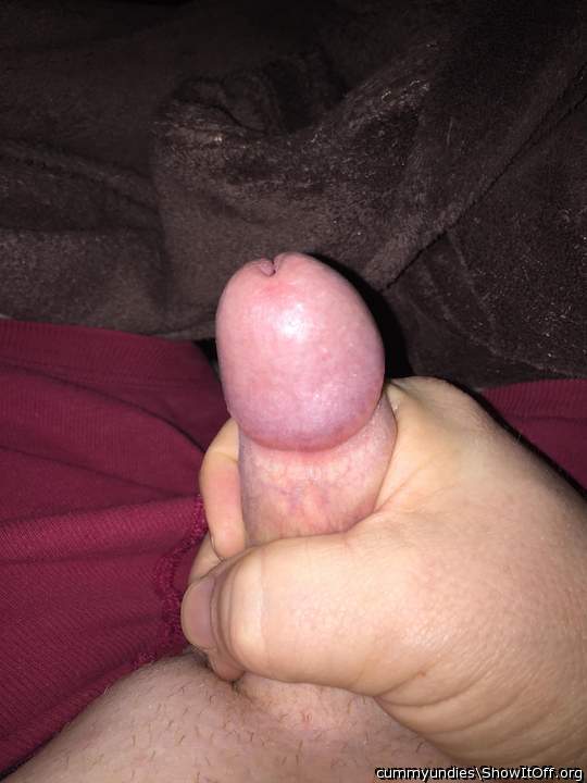 Photo of a python from cummyundies
