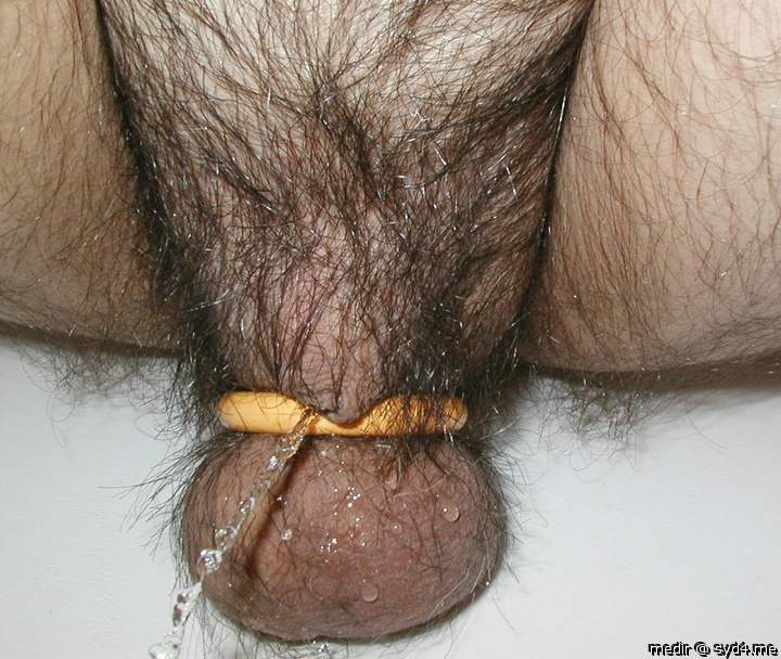 Photo of a wiener from medir