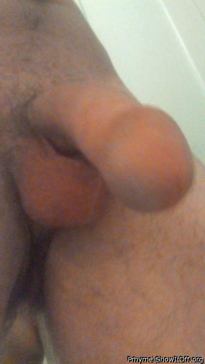 Photo of a cock from Prhyme