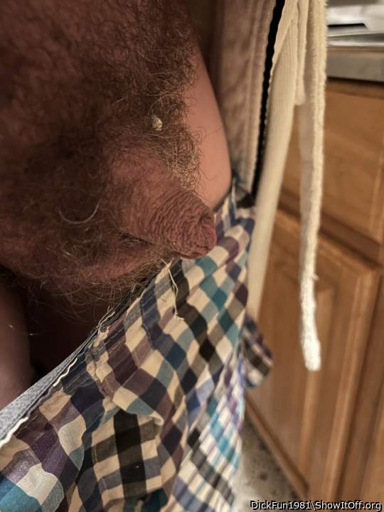 Photo of a bat from DickFun1981