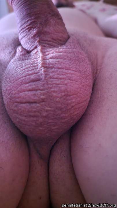 Testicles Photo from penisfetishist