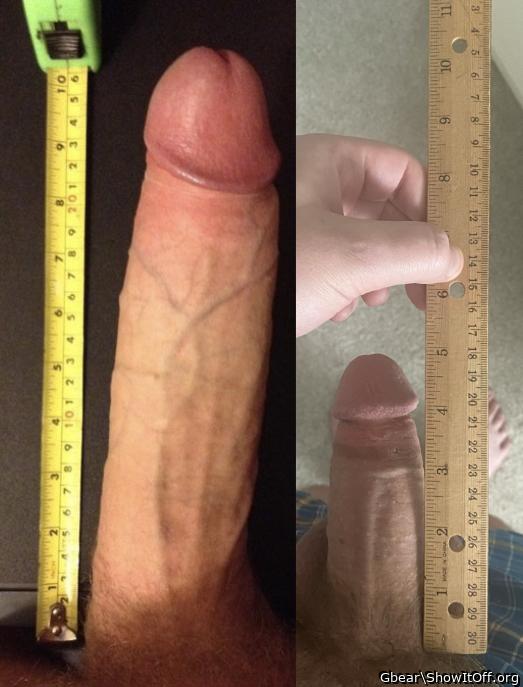Photo of a weasel from Gbear