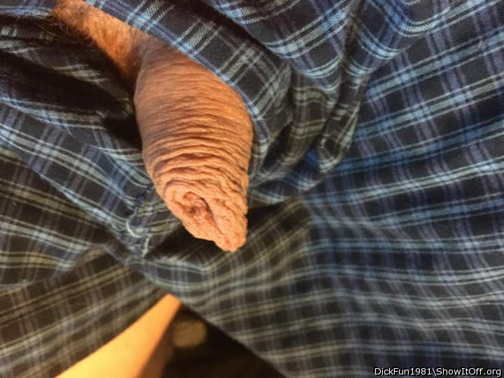 Photo of a python from DickFun1981