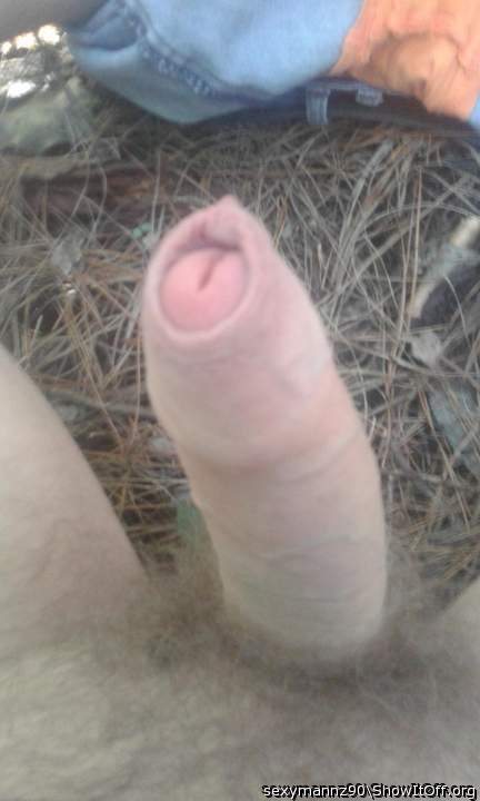 A horny man sitting on the grass waiting for attention.