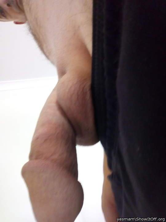 Photo of a wiener from yesmam