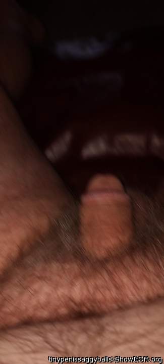 Photo of a python from tinypenissaggyballs