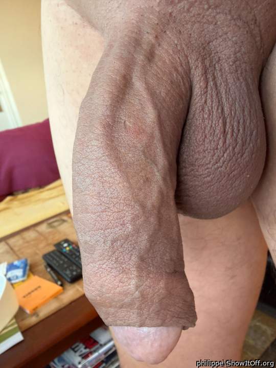 Great Photo - Awesome cock! 
  