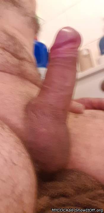 Photo of a penile from MYCOCK66