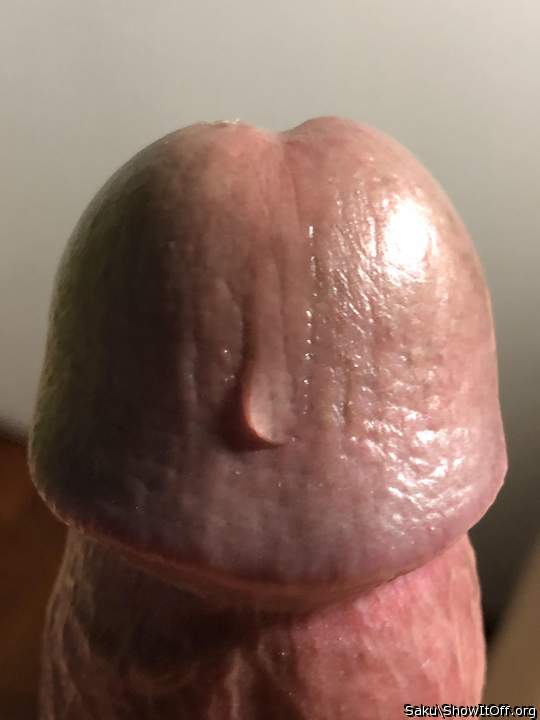 Photo of a joystick from Saku
