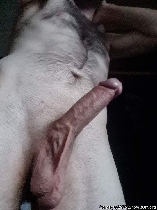 Photo of a middle leg from Someguy2975