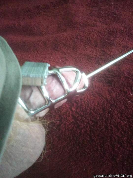 Photo of a equipment from GaySailor