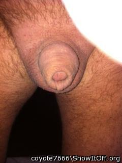 Photo of a phallus from coyote7666