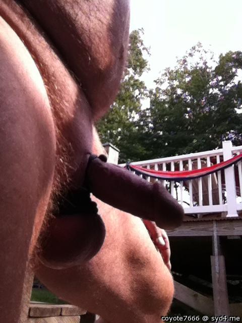 Photo of a stiffie from coyote7666