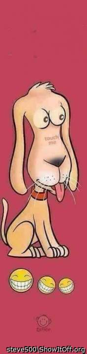 Photo of a sausage from steve500