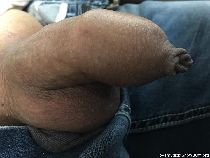 Photo of a rooster from ilovemydick