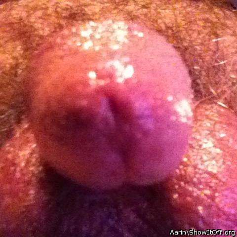 Photo of a boner from Arinn