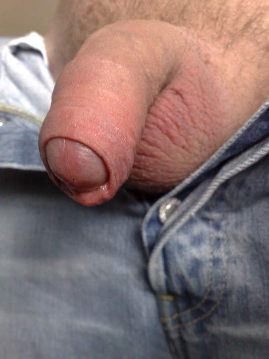 Photo of a middle leg from X5TANNED