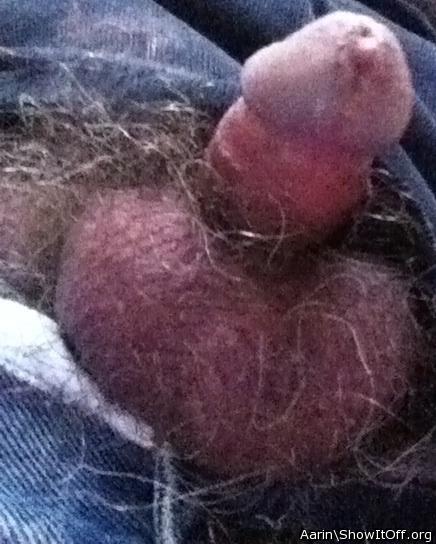 Photo of a purple headed monster from Arinn