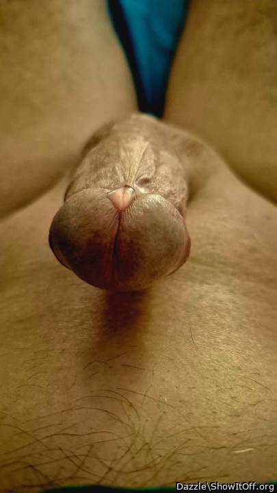 Photo of a tool from Dazzle