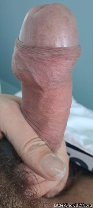 Photo of a cock from Little