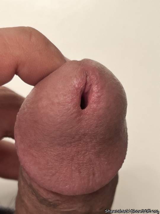Beautiful Meatus, very attractive Urethral opening
