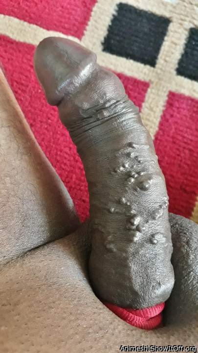 Photo of a penile from Animesh