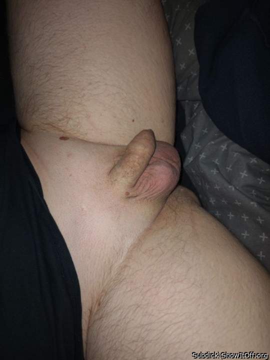 Photo of a bald-headed mouse from Subdick