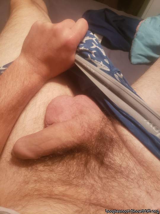 Photo of a ram rod from booplesnoot