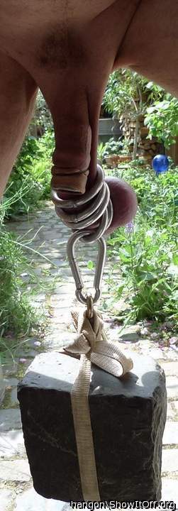 Photo of a wiener from hangon