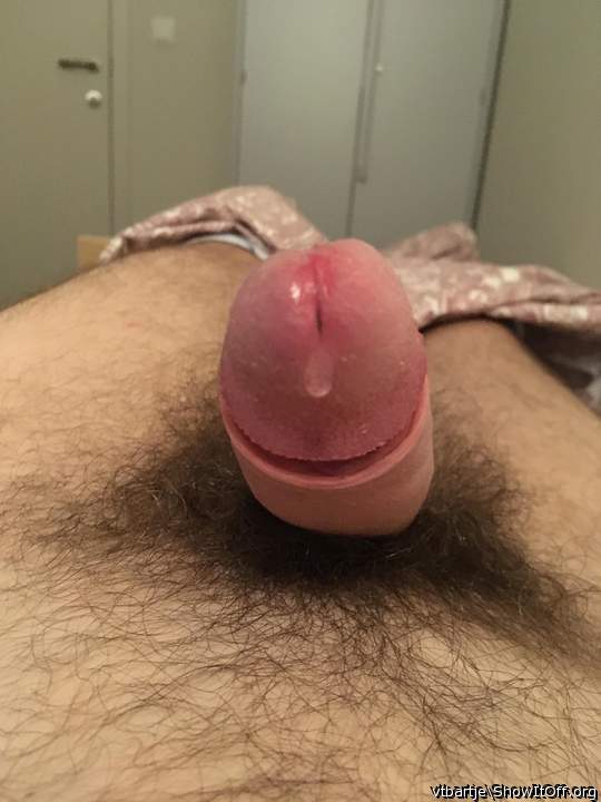 Photo of a cock from vtbartje
