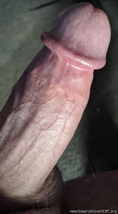 Just hard cock