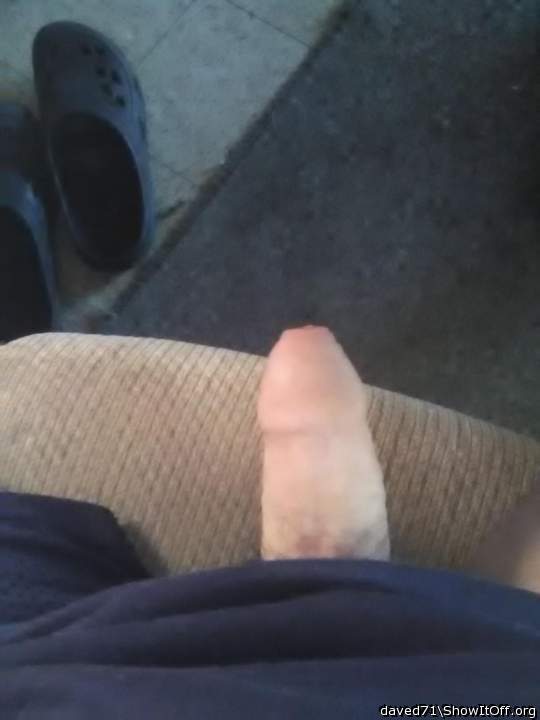 Photo of a snake from daved71