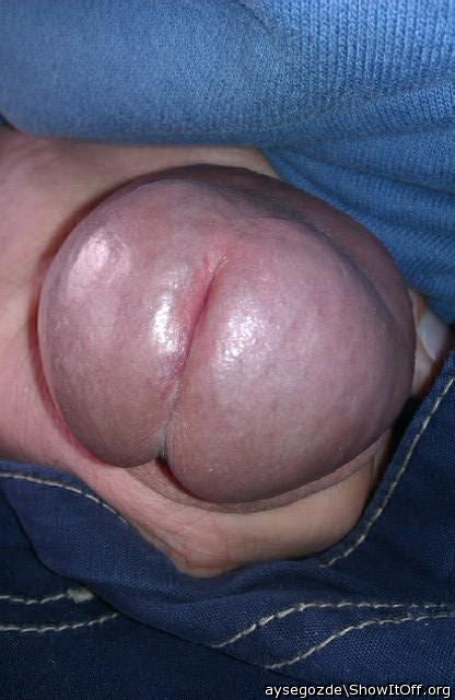      cum in please!!!