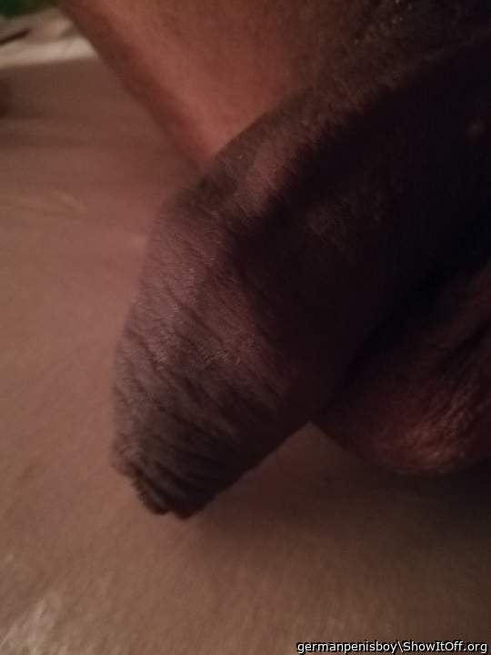 before getting horny and erect