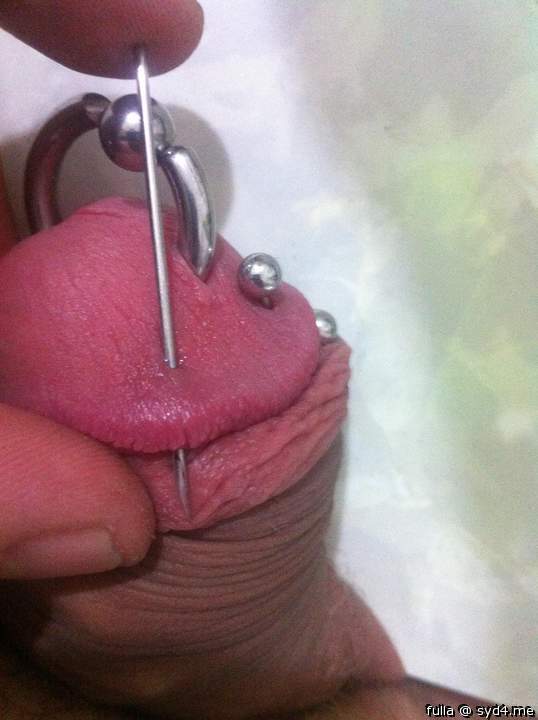 dydoe piercing