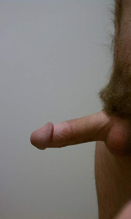 Photo of a ram rod from johnk700