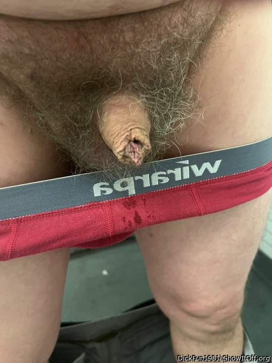 Photo of a private part from DickFun1981
