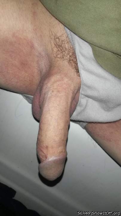 Photo of a stiffie from SEH49