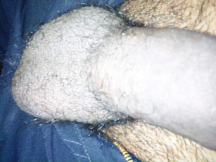 Photo of a bat from nicedices