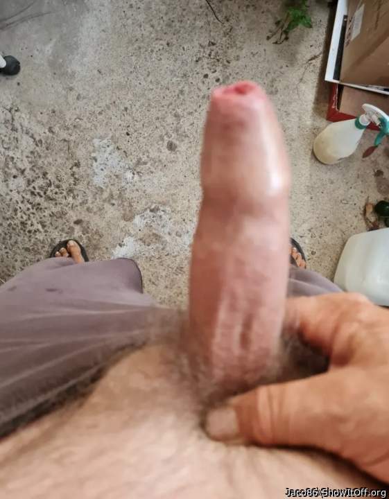Photo of a wiener from Jaco86