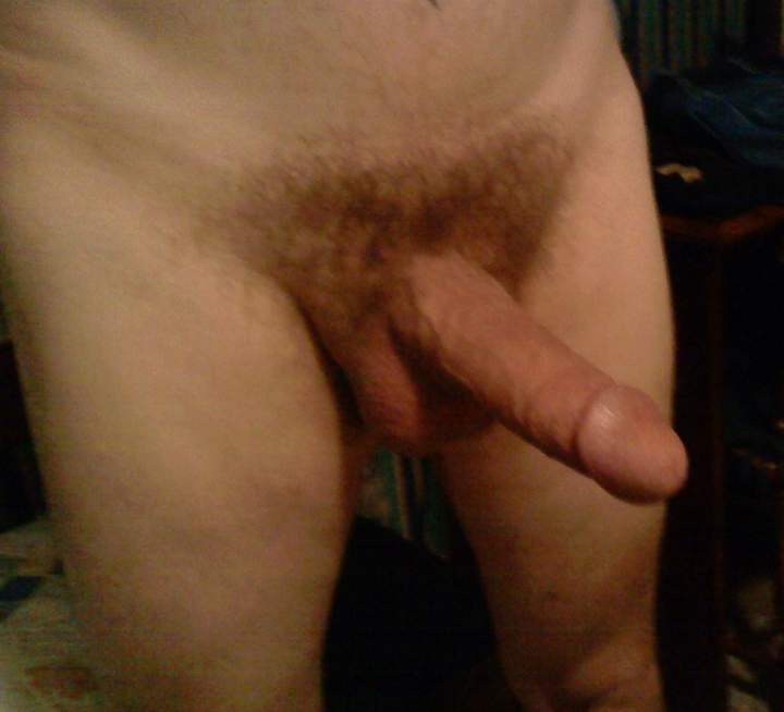 morning wood